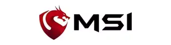 MSI