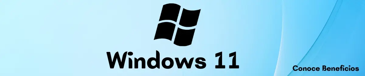 Windows 11