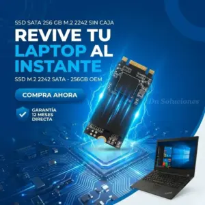 ssd-sata-256gb-m2-2242 Dn Soluciones Tumbaco